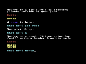 Castle Quest by Ricky Derocher for Plus/4